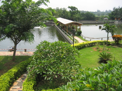 仙江灣農(nóng)家樂休閑農(nóng)業(yè)園