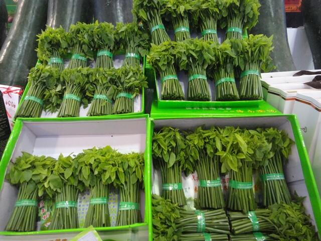 冬交會展覽的瓜果菜圖集