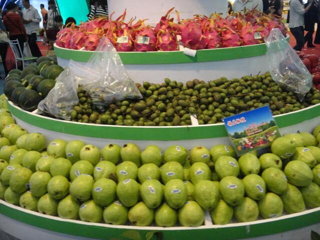 冬交會展覽的瓜果菜圖集