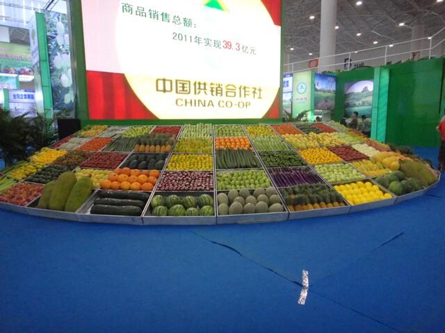 冬交會展覽的瓜果菜圖集