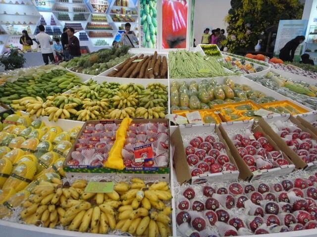 冬交會展覽的瓜果菜圖集