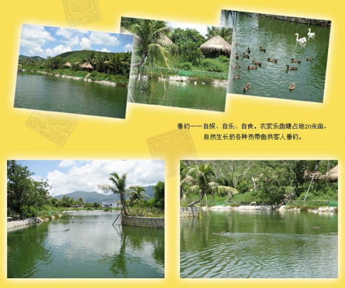 新村農(nóng)家樂