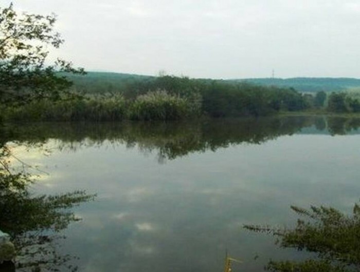 鼎豐芒果園養(yǎng)生農(nóng)莊