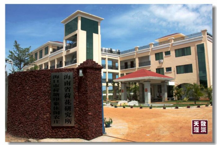 荷塘印象休閑農(nóng)莊