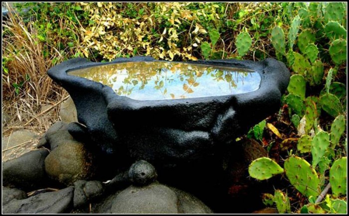 洋浦千年古鹽田