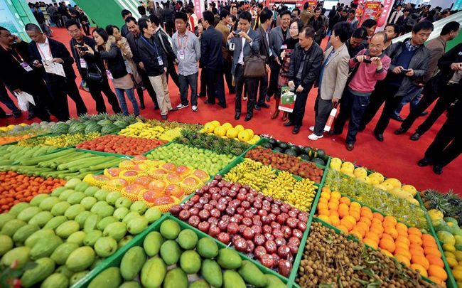 京瓊兩地共同打造放心&ldquo;菜籃子&rdquo;基地