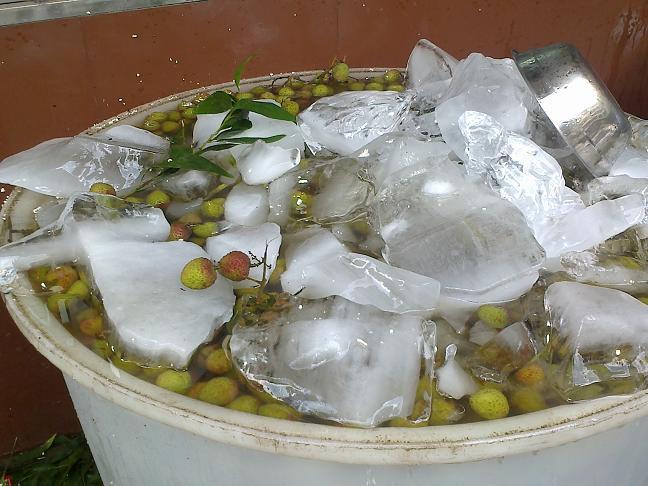 荔枝應(yīng)如何包裝