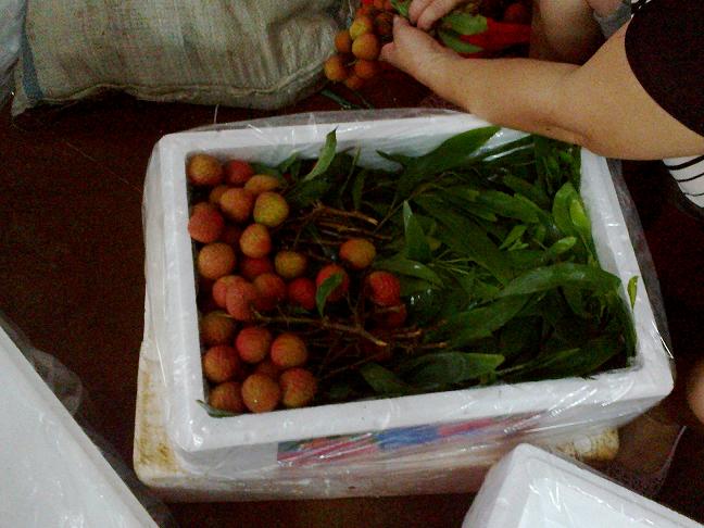 荔枝應(yīng)如何包裝