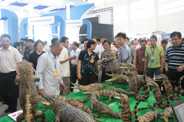 2013海南海博會7月10日在?？谂e行