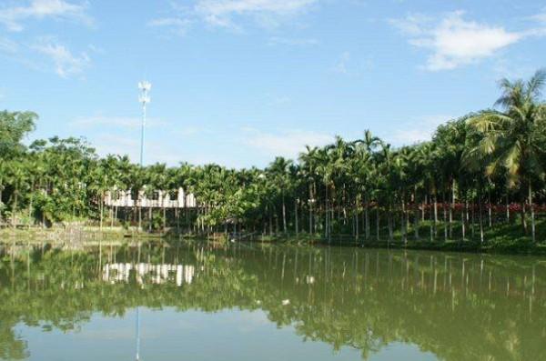 灼吧農(nóng)樂樂