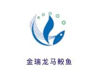 金瑞龍馬鮫魚