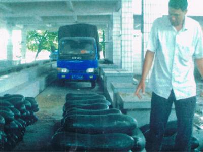 儋州木棠養(yǎng)發(fā)瓜果專業(yè)合作社