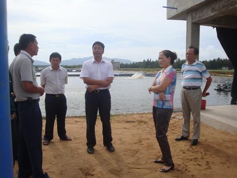 萬寧市委書記丁式江調(diào)研農(nóng)民增收工作