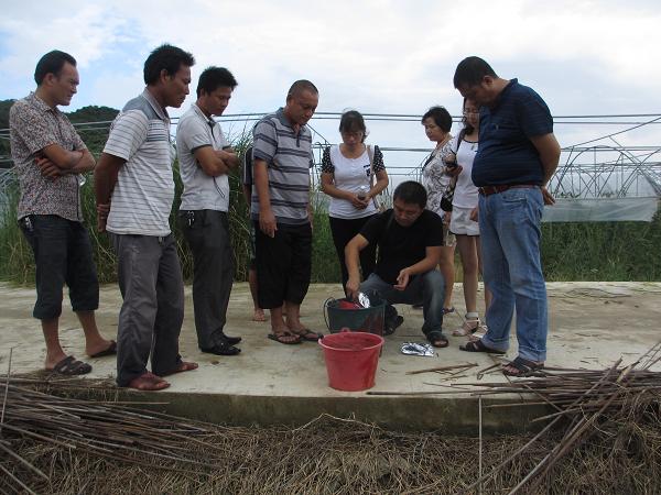 省農(nóng)業(yè)專家進(jìn)陵水三才鎮(zhèn)&ldquo;送技術(shù)&rdquo;