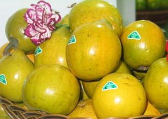 越南雞蛋果進入海南