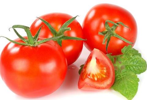 海口番茄價格走高