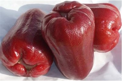 海南蓮霧供應(yīng)穩(wěn)定，價格回落