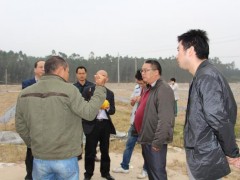 內(nèi)地多家大型商超聯(lián)合考察海南冬季瓜菜基地