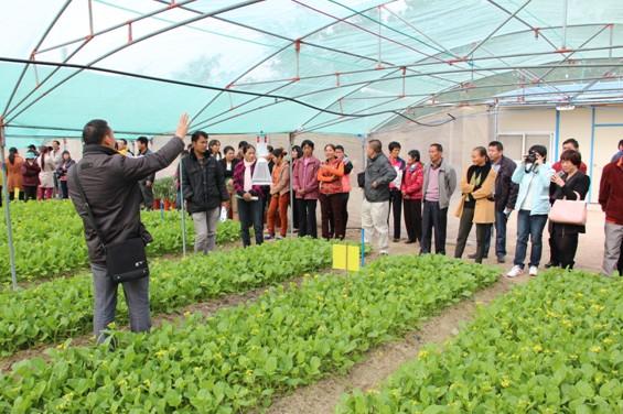 省農(nóng)技中心植保站在瓊海市召開冬種瓜菜病蟲害綠色防控技術(shù)現(xiàn)場觀摩及培訓(xùn)會