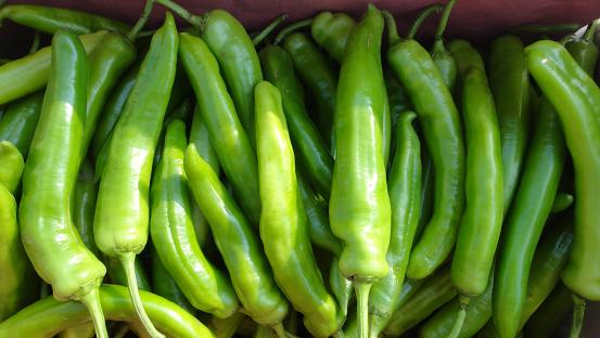 海南椒類(lèi)價(jià)格下降