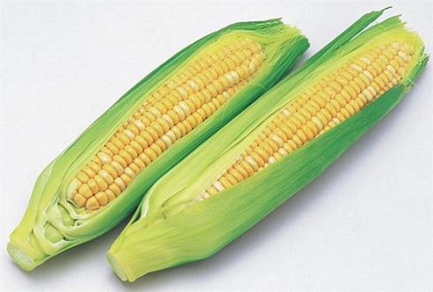甜玉米價(jià)格上漲