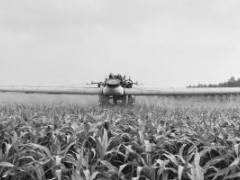 【動態(tài)】新型植保機械打藥更高效