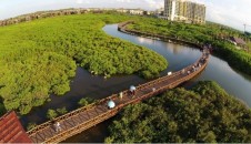 航拍海南澄邁紅樹灣紅樹林濕地保護公園