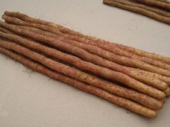 【動(dòng)態(tài)】山藥種植謹(jǐn)防紅斑病