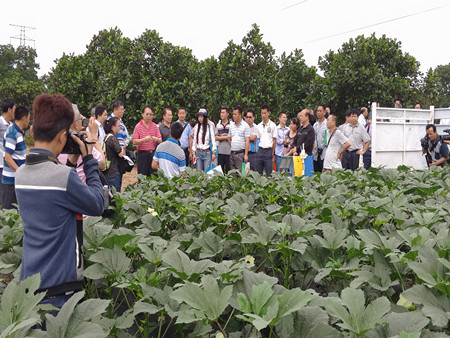 2014 -2015年冬春瓜菜新品種、新技術(shù)示范觀摩會(huì)成功舉辦1
