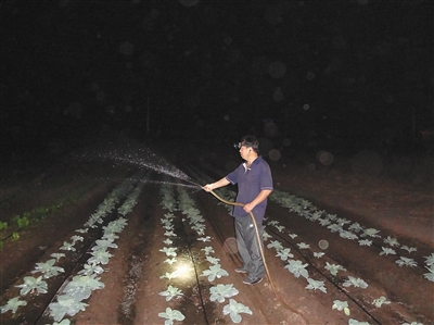 海南農(nóng)業(yè)專家非洲大地寫傳奇2