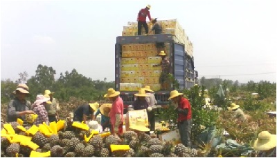 2015年4月12-19整車物流情況