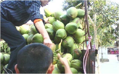 2015年4月12-19整車物流情況