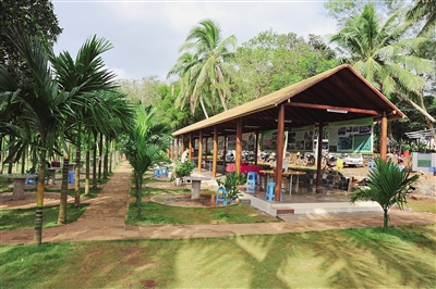 5月，來荔鄉(xiāng)趣游