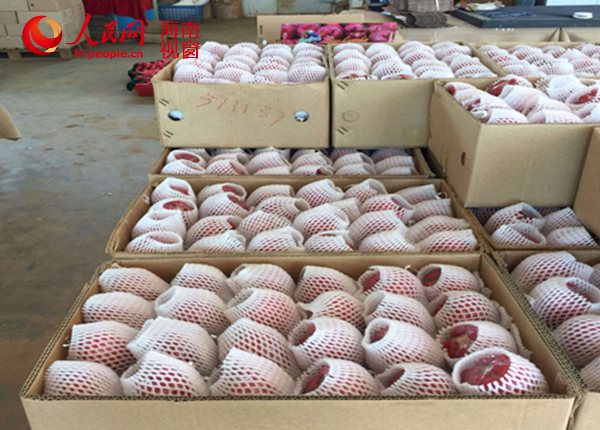   ?？诿捞m機(jī)場國際航班五月份出口水果達(dá)18噸