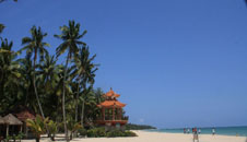 文昌東郊椰林灣（距離海口約